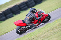 PJ-Motorsport-2019;anglesey-no-limits-trackday;anglesey-photographs;anglesey-trackday-photographs;enduro-digital-images;event-digital-images;eventdigitalimages;no-limits-trackdays;peter-wileman-photography;racing-digital-images;trac-mon;trackday-digital-images;trackday-photos;ty-croes